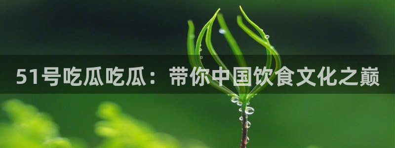 51号吃瓜吃瓜：带你中国饮食文化之巅